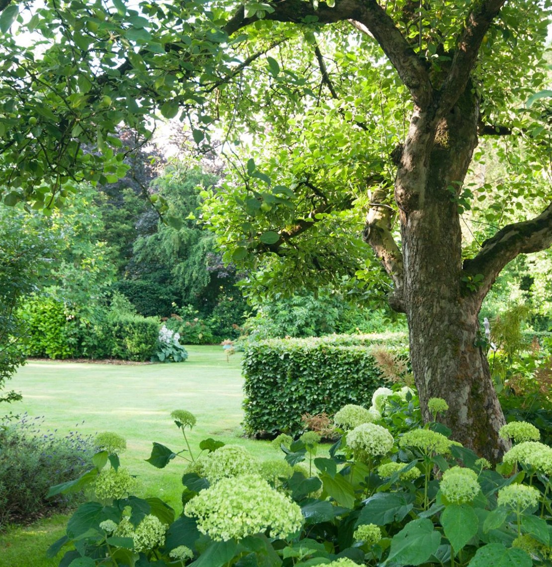 Landelijke tuin beplanting