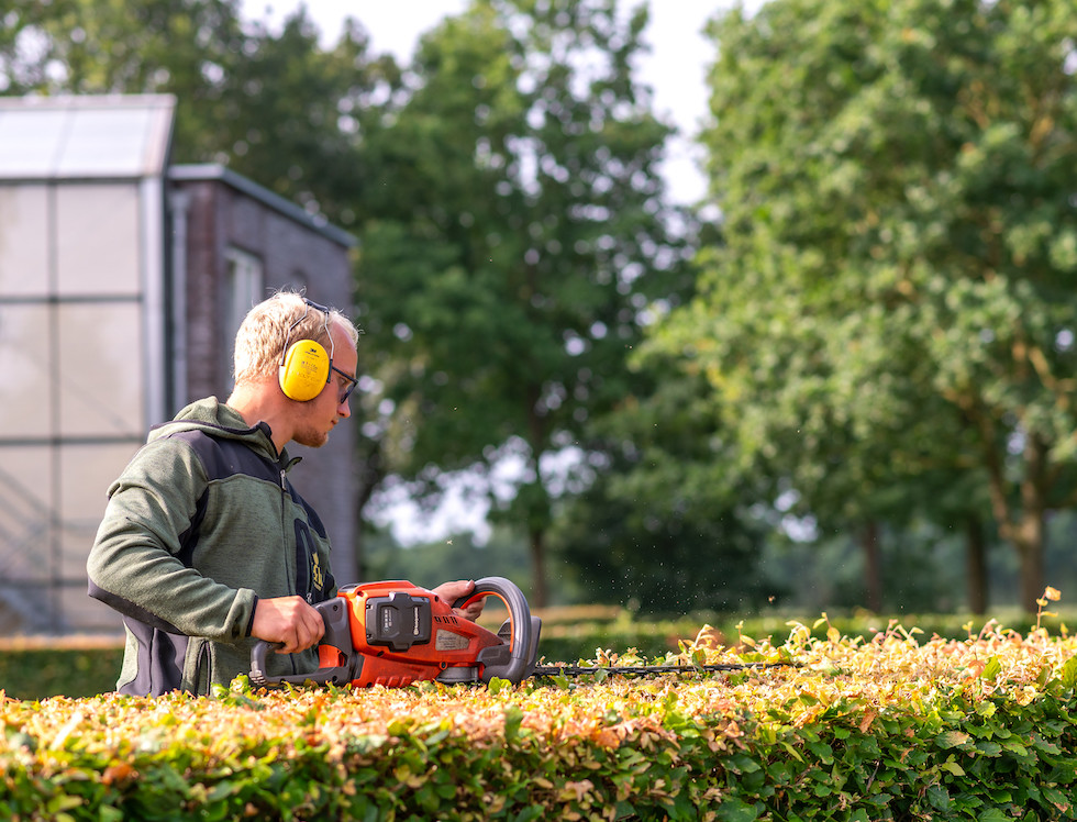 Tuinonderhoud in Drachten