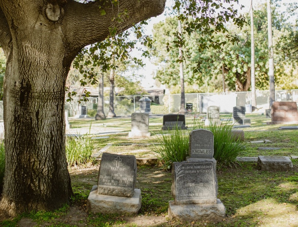 Boomverzorging voor begraafplaatsen