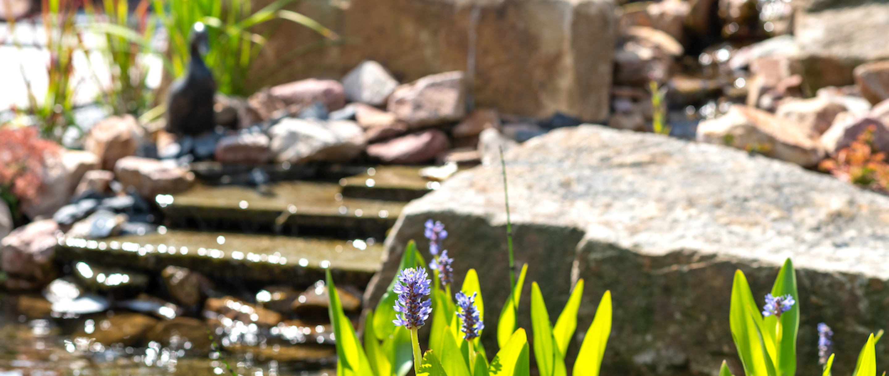 Levende tuin water