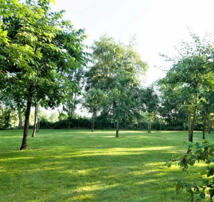 Landelijke tuin ruimte