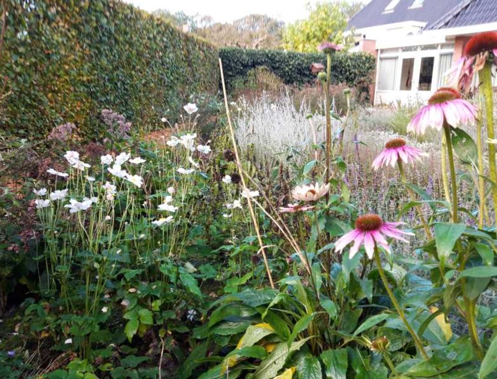 Natuurlijke tuin door H&W Hoveniers