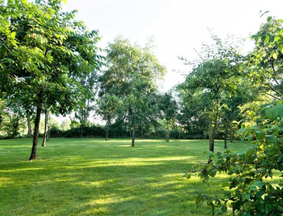 Bomen zorgen voor een prachtig landschap