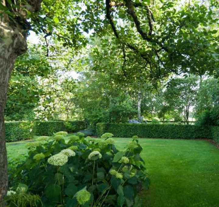 Landelijke tuin bomen