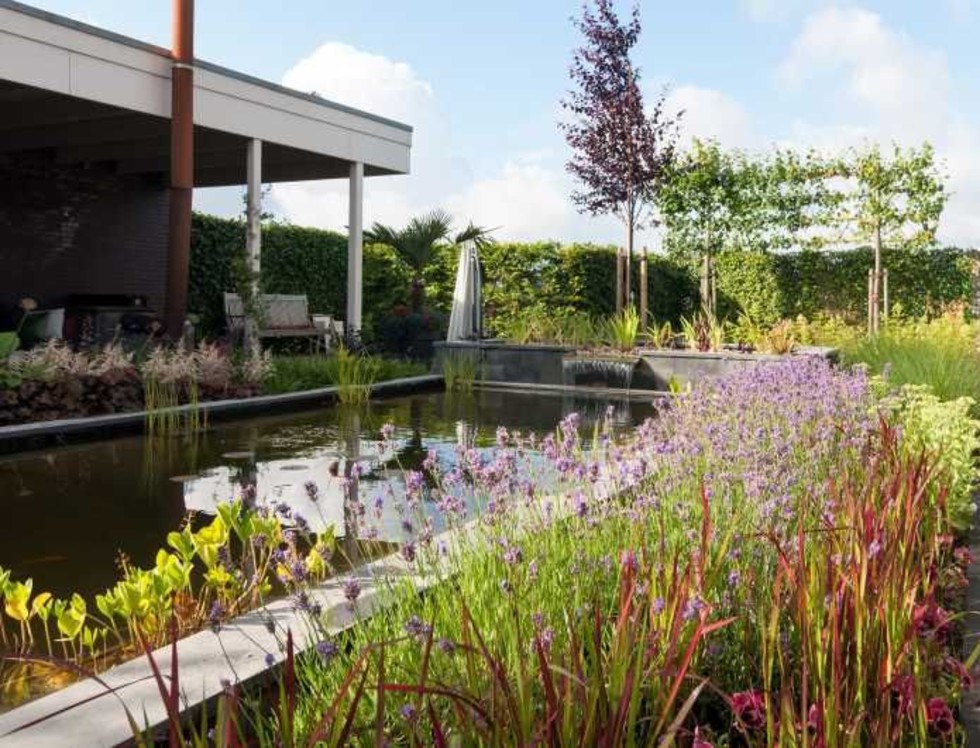 Watertuin door H&W Hoveniers