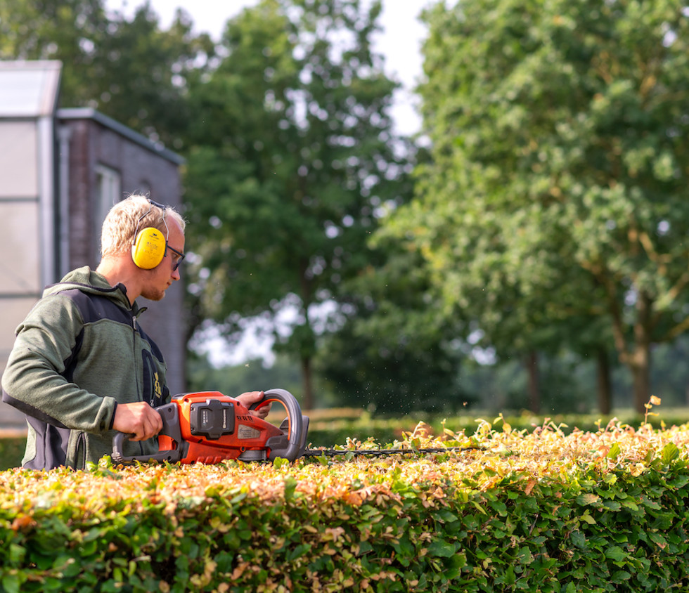 Diensten Hovenier Drachten