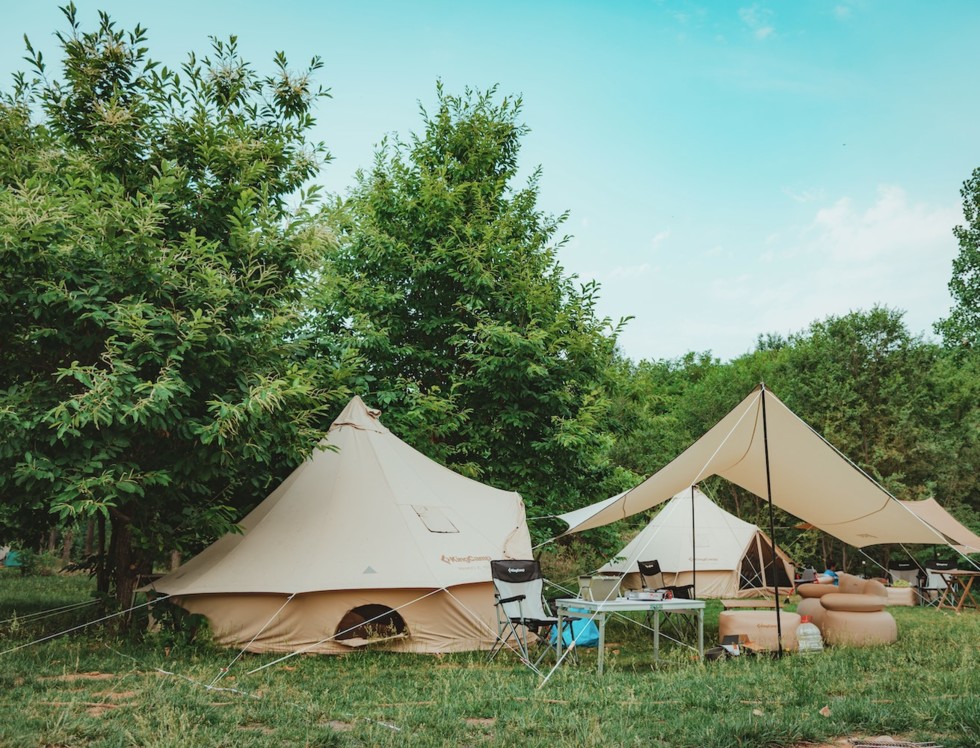 Boomverzorging voor campings