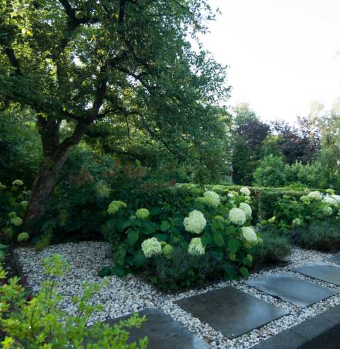 Landelijke tuin border